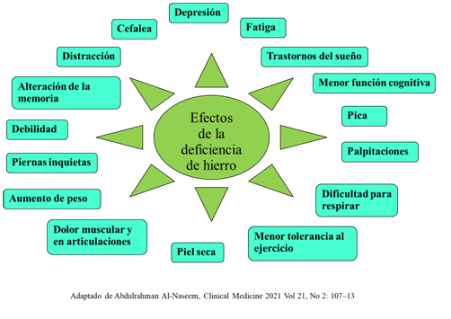 efectos de la deficiencia de hierro